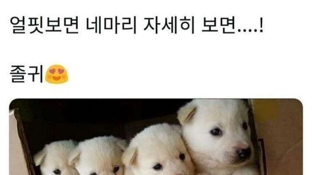 다섯임