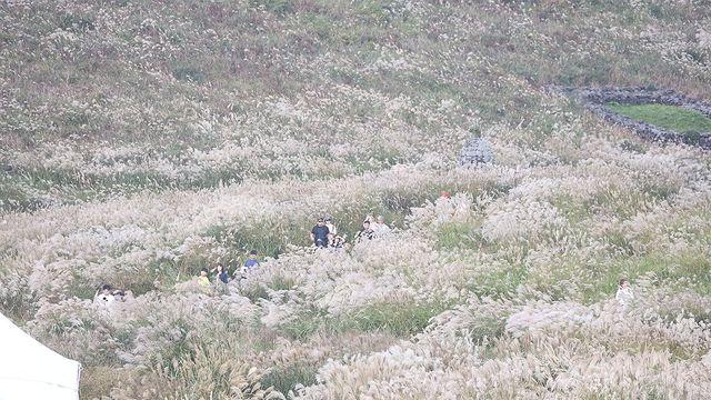 제주 오전까지 곳에 따라 빗방울…낮 최고 19∼22도