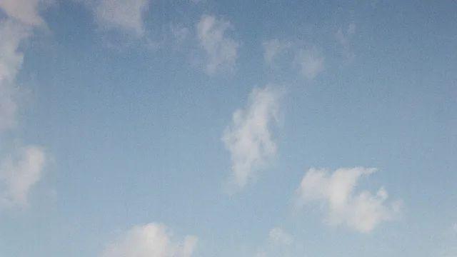 [아름다운 가을 사진] 가을 산책