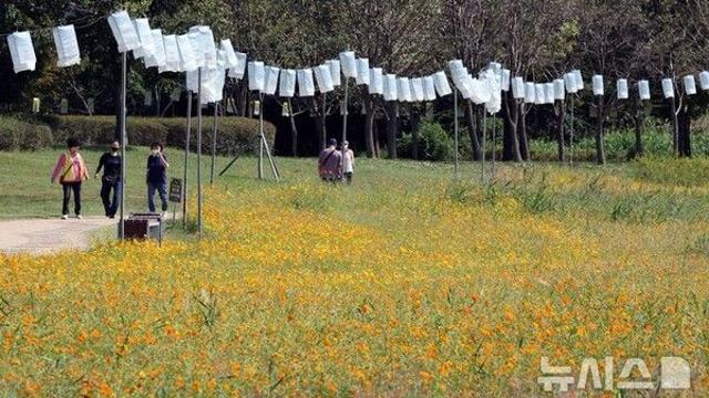 부산, 흐리다가 오후부터 차차 맑아져…낮 최고 21도