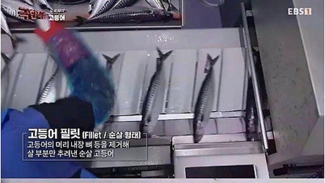 노르웨이에서 고등어 가시 제거하는 방법