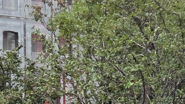 투모로우바이투게더 연준, ‘상의 탈의’ 게릴라 포스터 눈길