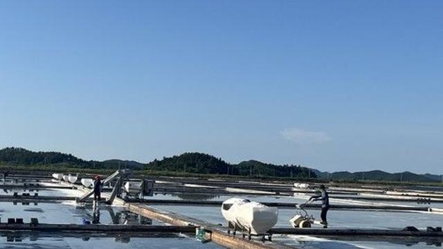 신안 태평염전, '강제노동' 논란에 문화유산 취소 신청