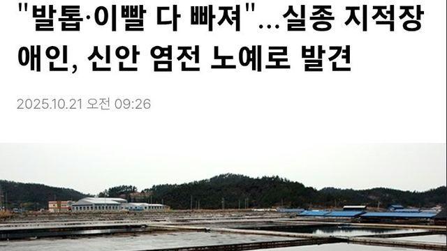 신안디아 근황