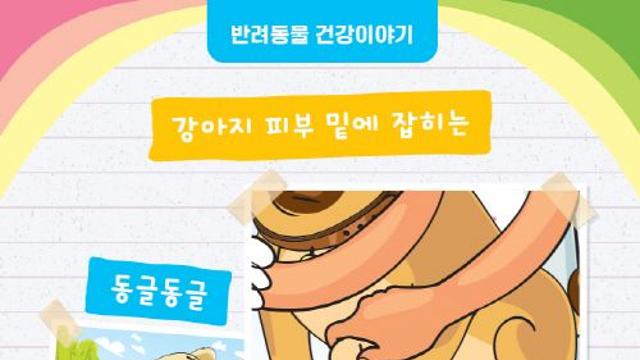 [반려동물 건강이야기] 강아지 피부 밑에 잡히는 동글동글 말랑말랑 혹…유력한 정체는 지방종!