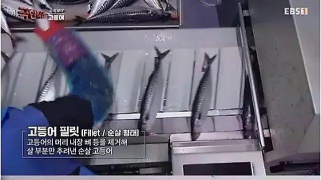 군침군침 노르웨이에서 고등어 가시 제거하는 방법