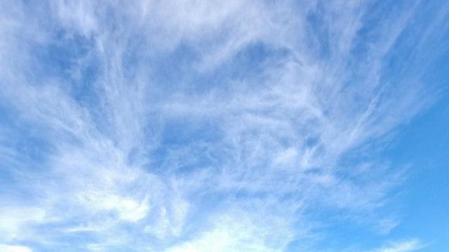 필리핀 보홀 1,2,3일차 영상이에요. ????????