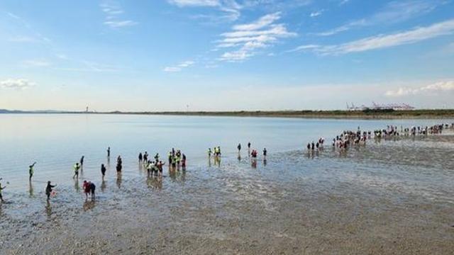시흥시 ‘2025 시화호 갯벌 맨발걷기 페스타’ 로 치유ㆍ회복 시간 선사