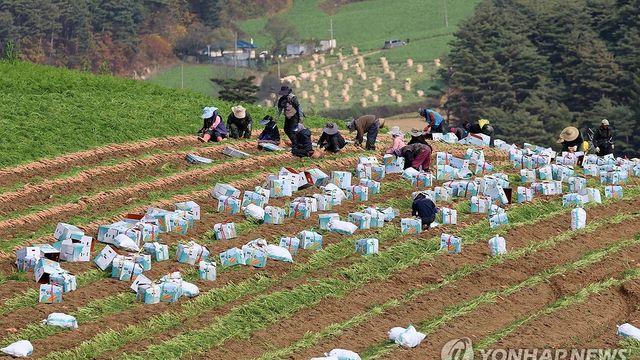 강원 출근길 초겨울 추위…낮 최고 13도