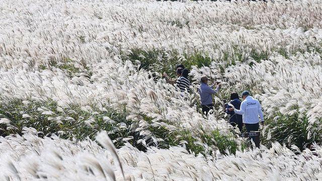 제주 아침까지 가끔 비 오고 기온 뚝…낮 최고 16∼19도