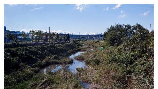 [아름다운 가을 사진] 가을이었다.