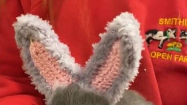 귀 없는 토끼에게 찾아온 행복…한 농부의 따뜻한 손길