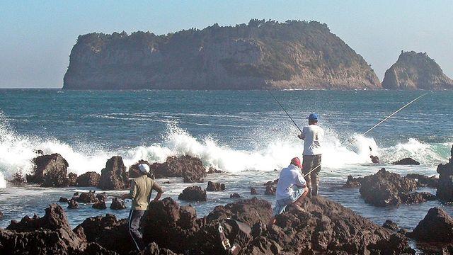 1마리에 최고 50만 원 호가…바다에 무려 2000마리 한꺼번에 풀리는 '수산물'