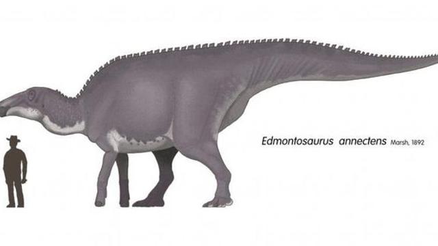 새 미라화석 발견으로 복원도가 디테일해진 공룡