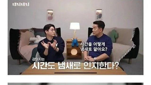 강아지가 주인의 퇴근시간을 인식하는 방법