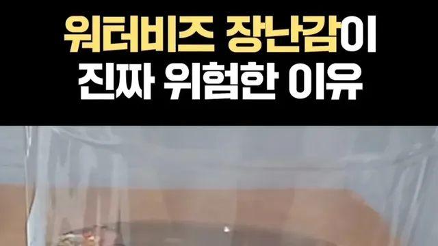 [스압] 응급실에서도 어찌 못한다는 위험한 장난감 “워터비즈”,,