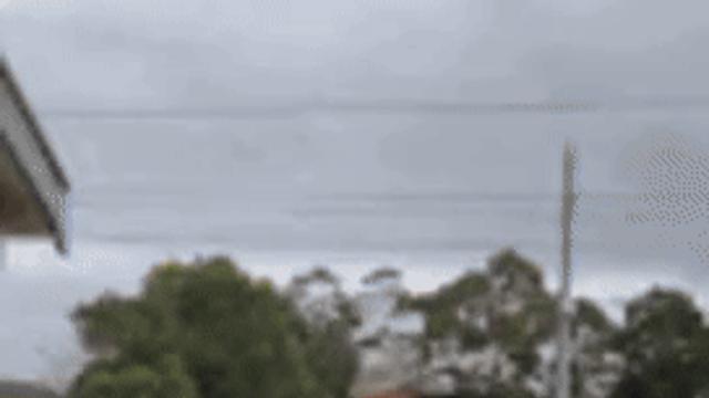 가오가 온 몸을 지배한 남자