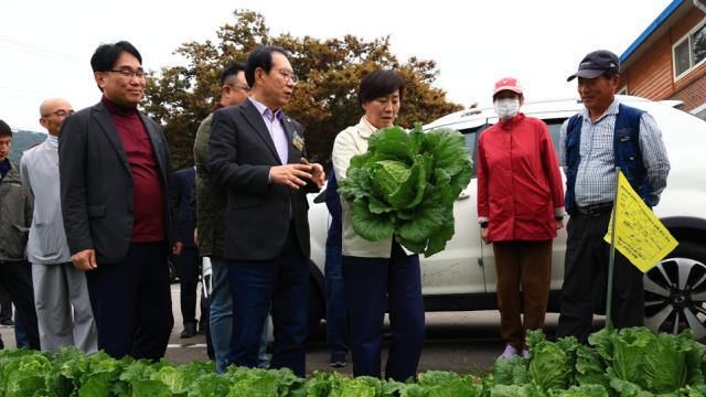 송미령 장관, 김장 배추 산지 점검…
