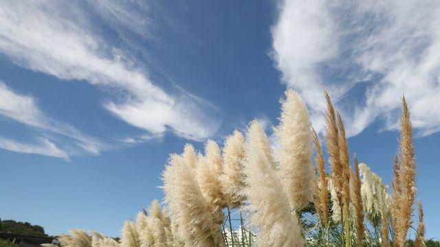 부산·울산·경남 대체로 맑고 추워…낮 최고 12∼16도