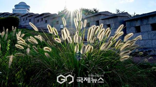 날씨, 서울 17도 
