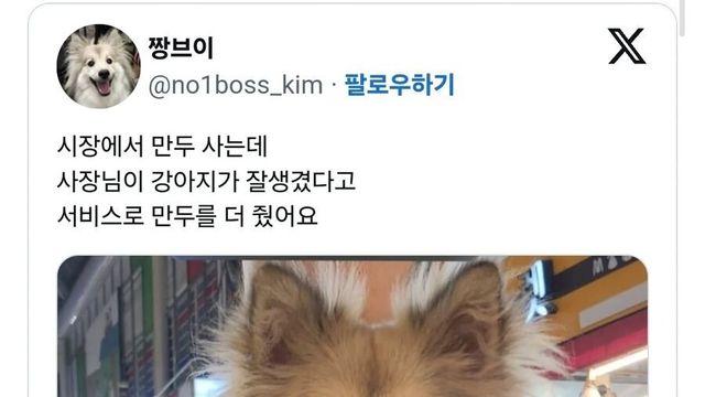 시장에서 강아지 잘생겼다고 서비스 받음 시장에서 강아지 잘생겼다고 서비스 받음