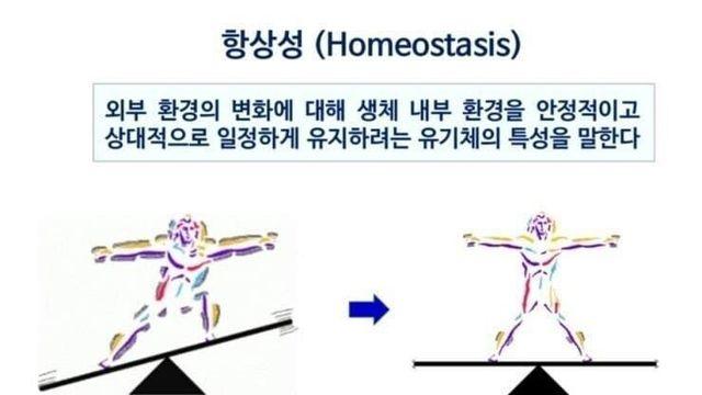 호기심이 많은 과학자들.