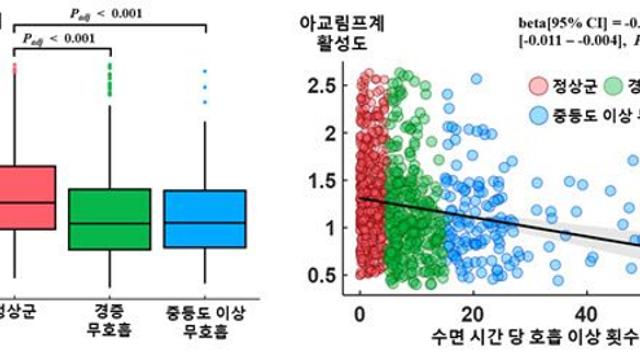 치매 유발하는 수면무호흡증, ‘뇌 노폐물 배출 저하’가 핵심 경로