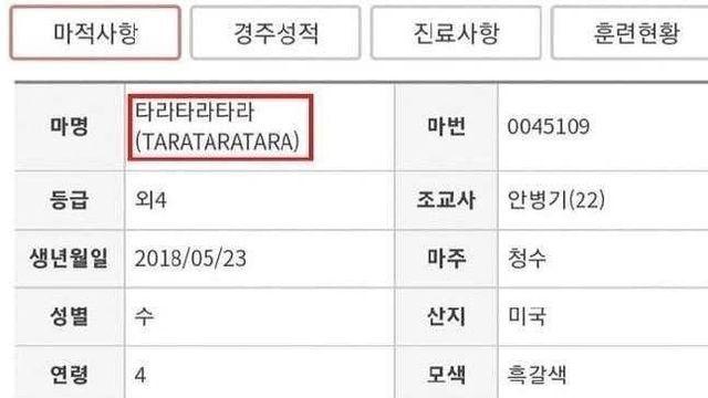 어질어질한 우리나라 경주마들 이름
