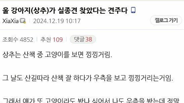 실종견을 구조한 강아지 썰.dc