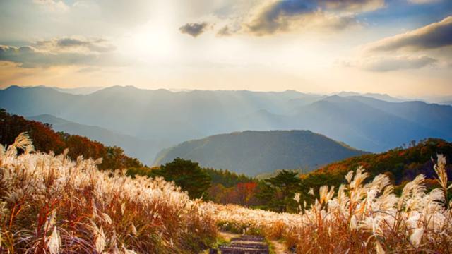 정선, 가을빛 물든 자연 속 레저와 감성을 만끽하는 여행 명소