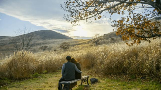 합천의 명소, 천년의 지혜와 비경이 어우러진 아름다운 여행지