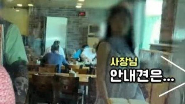 안내견이 식당에 들어오자 버럭 소리지르는 사장님