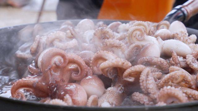 한국기행 곳간 채우는 날 1부 왔다! 주꾸미