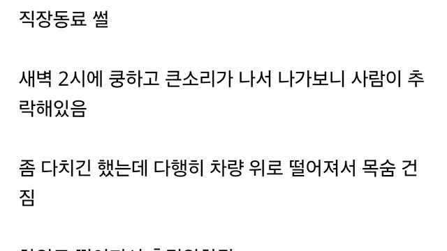 새벽 2시에 사람이 차위로 떨어졌다