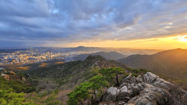 관악의 명소, 캠퍼스 거리부터 전통시장까지 이어지는 활기찬 여정