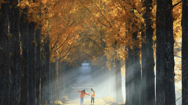 나주의 감성 명소, 고즈넉한 사찰과 전망 좋은 카페가 선사하는 평화로움