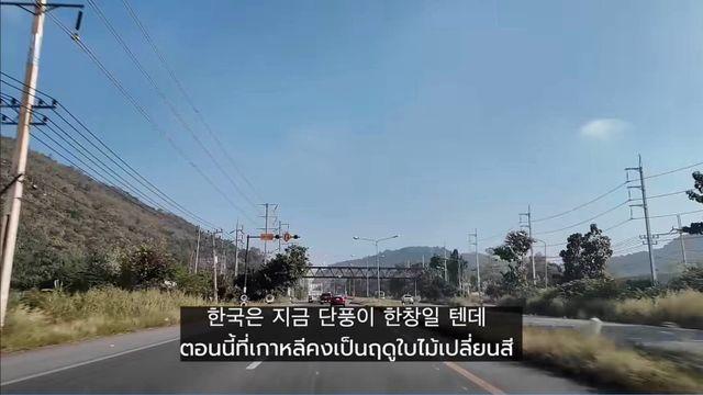 태국사는 한국인이 말하는 태국