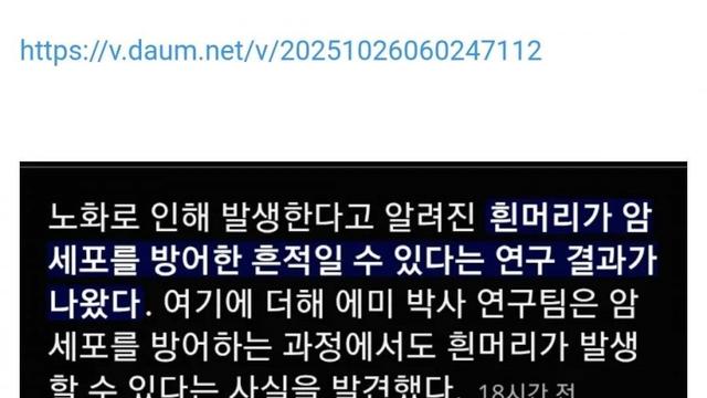 흰머리는 암세포를 막은 흔적이다? 