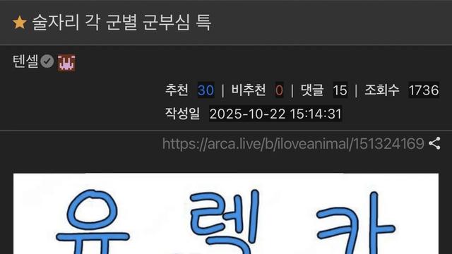 친구들 술자리에서 군별 군부심 특징