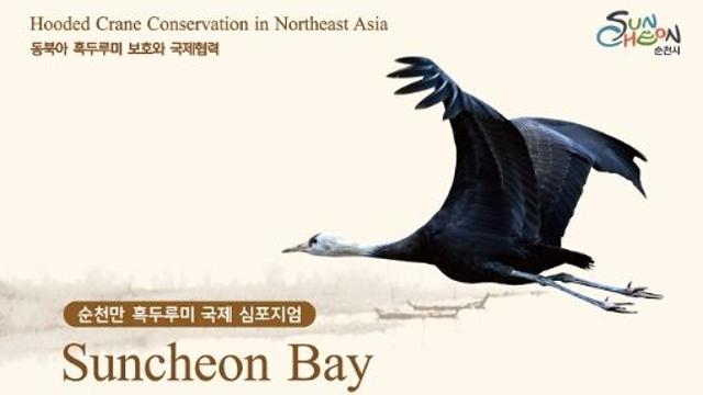 순천만 흑두루미 국제심포지엄, 4개국 전문가 한자리에