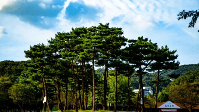 가을 향기 머무는 분당, 싱그러운 공원과 베이커리가 있는 여유로운 여행