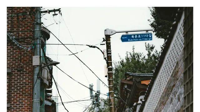 [13pic] 응애 나 디린이 우중출사 봐줘