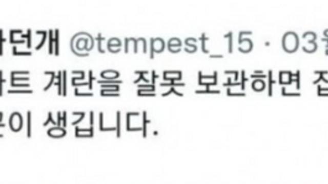 보관을 잘해야하는 계란.