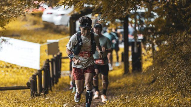 [픽! 정읍] 단풍을 넘어 '웰니스'로…내장산 달리는 건각들