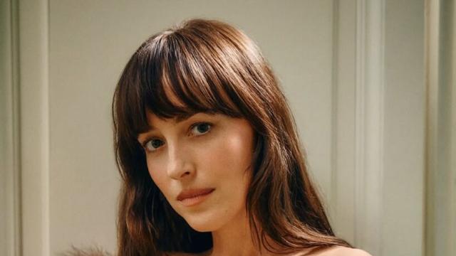 다코타 존슨 발렌티노 앰버서더로 발탁, 알렉산드로와 재회한다