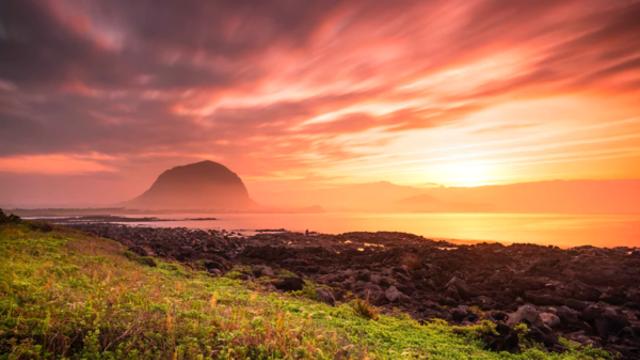 섭지코지 절경부터 오설록 차밭까지, 서귀포의 가을 감성 명소 탐방
