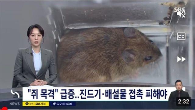 요즘 서울 도심지에 늘어나고 있는 것