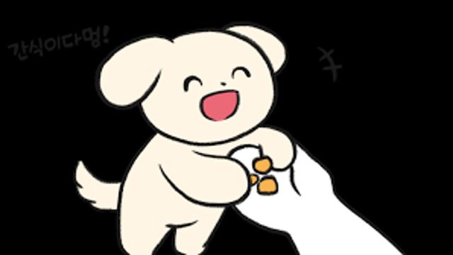 너무 좋았던 강아지.