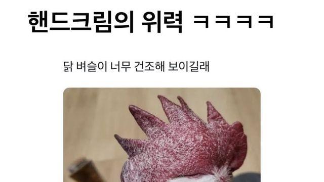 닭 벼슬이 너무 건조해보이는데..