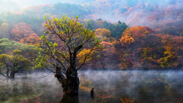 신비로운 주왕산과 주산지, 청송이 선사하는 자연 속 명소 여행